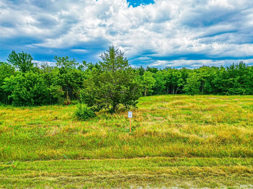 Lot 3 Grison Cir, Corsicana, TX 75109 - photo 1