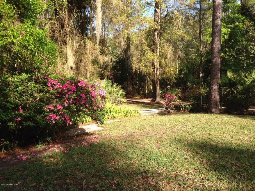 View of Beautiful Treed Lot from Cottage