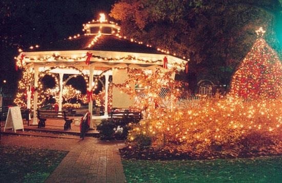 Carousel Image