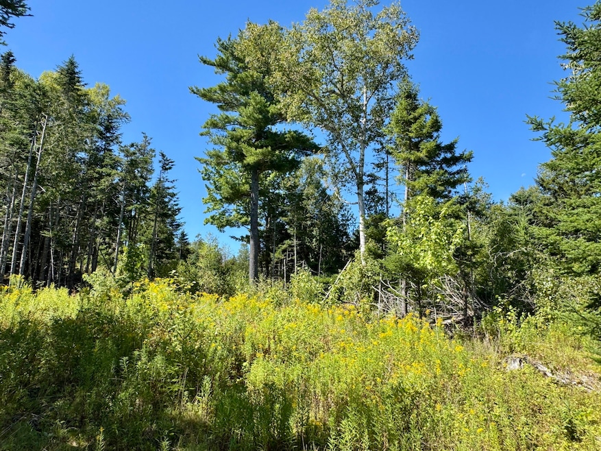 Lot 13 Red Rock Estates, Pembroke, ME 04666 - photo 1