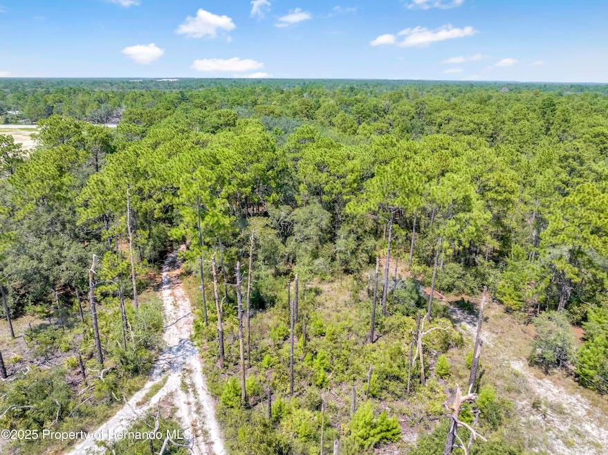 0 Restoration unit 2255435, Weeki Wachee, FL 34613 - photo 1