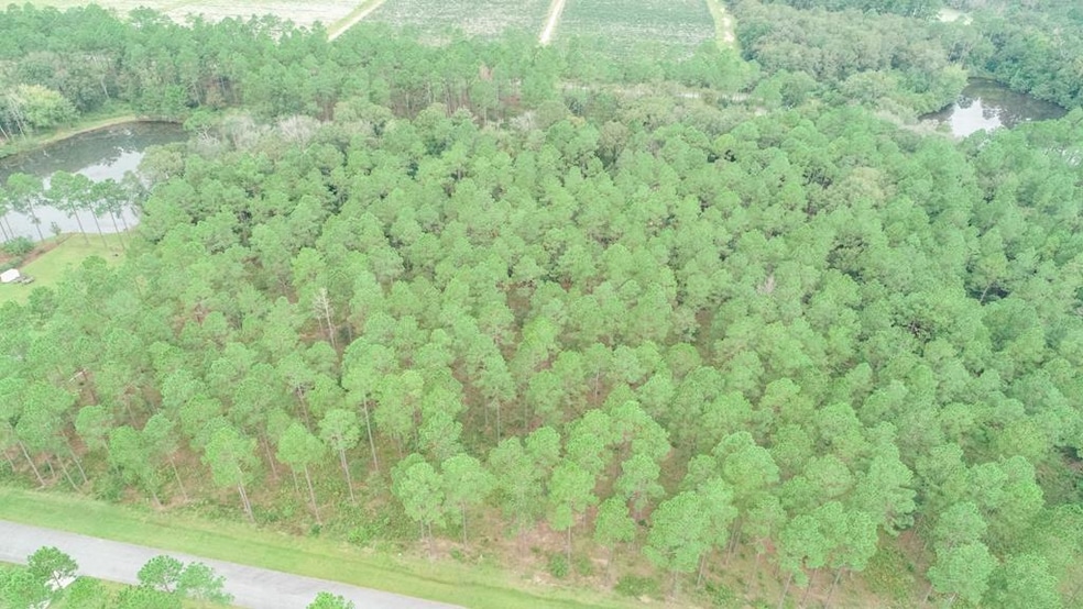 LOT 39 Westwoods Dr, Moultrie, GA 31768 - photo 1