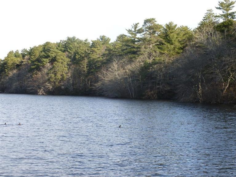 71 Harju Rd, Barnstable, MA 02632 - photo 1