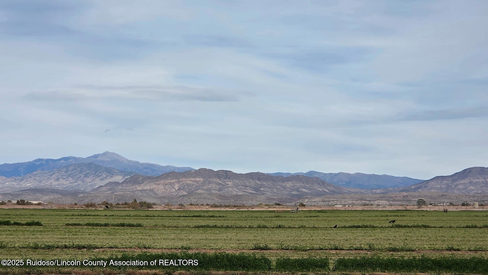 255 Tulie Gate Rd, Tularosa, NM 88352 - photo 1