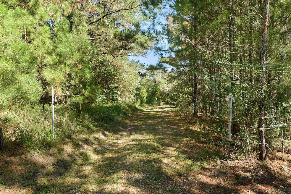 28061 Dusty Ln, Picayune, MS 39466 - photo 1