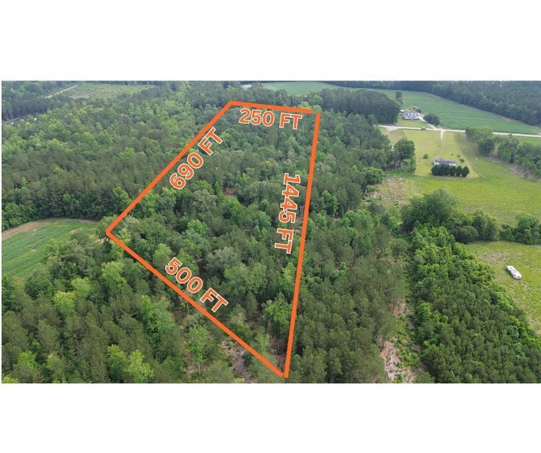 Drone / aerial view of a forest