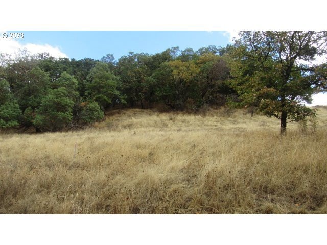 0 SE Meadowlark Ave unit 23438357, Myrtle Creek, OR 97457 - photo 1