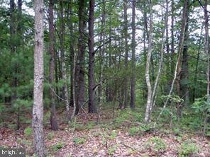 0 Laura Ct unit VASH119068, Basye, VA 22810 - photo 1