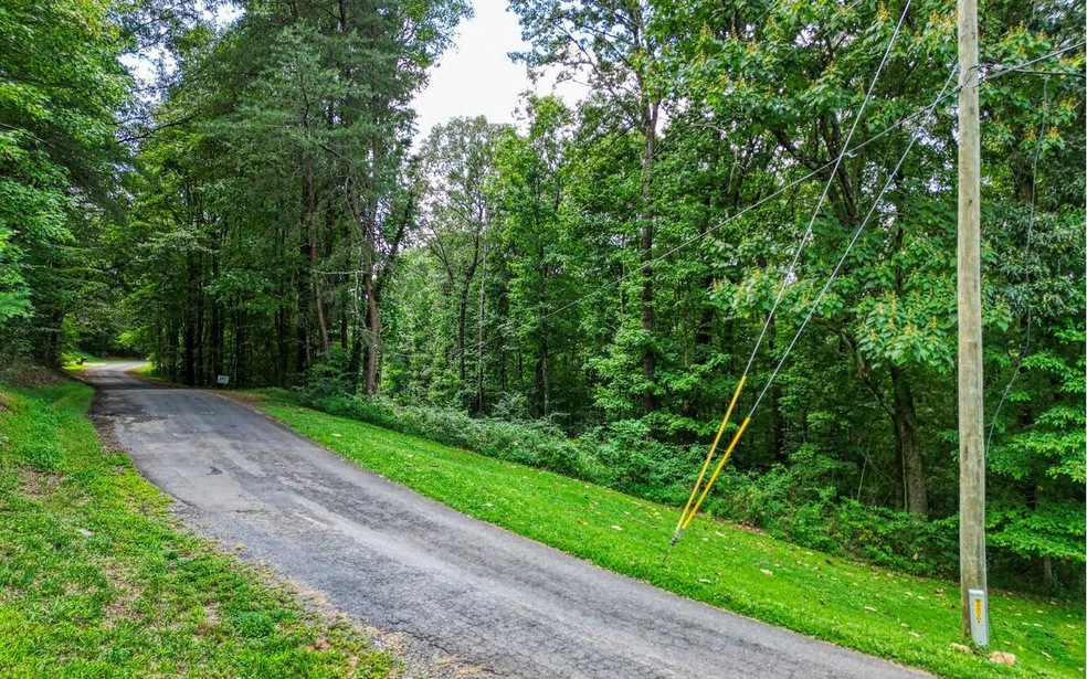 1.22A New Hope Rd, Ellijay, GA 30540 - photo 1