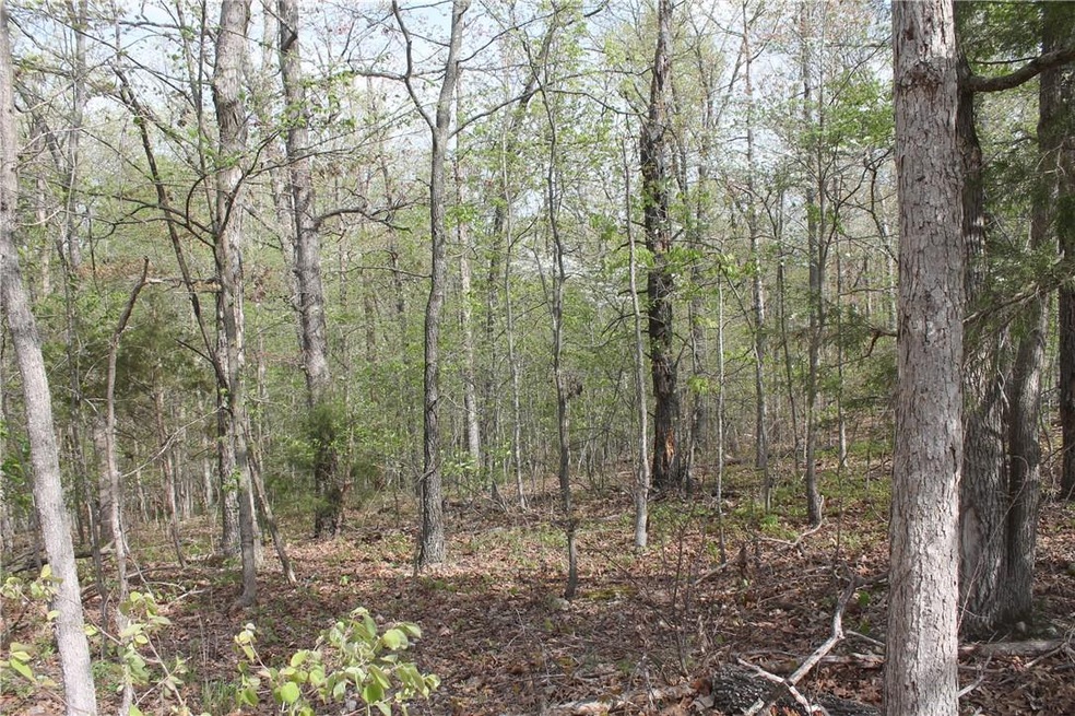 0 Littrell Berkshire Dr unit 1216111, Bella Vista, AR 72714 - photo 1