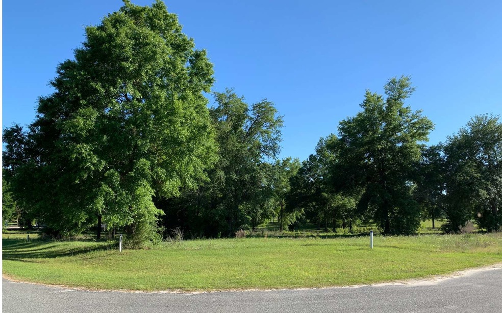 680 Mandiba Dr, Lake City, FL 32055 - photo 1