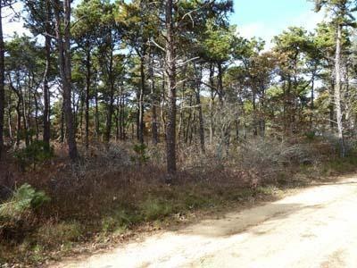 0 Bittersweet Ln, Edgartown, MA 02539 - photo 1