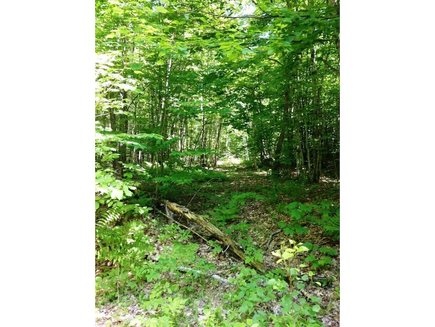 0 Miller Rd, Dalton, NH 03598 - photo 1