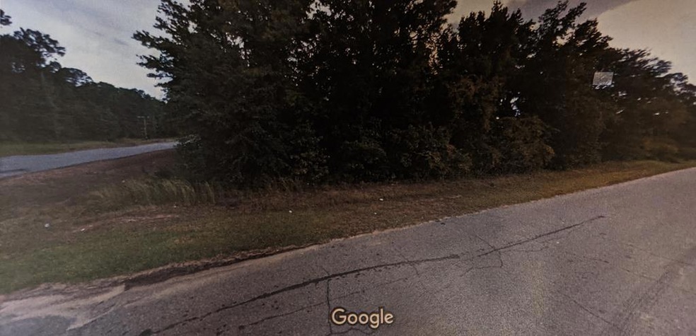 6001 Jenkins Rd, Albany, GA 31705 - photo 1