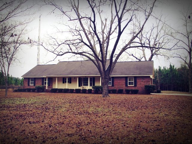 Main View