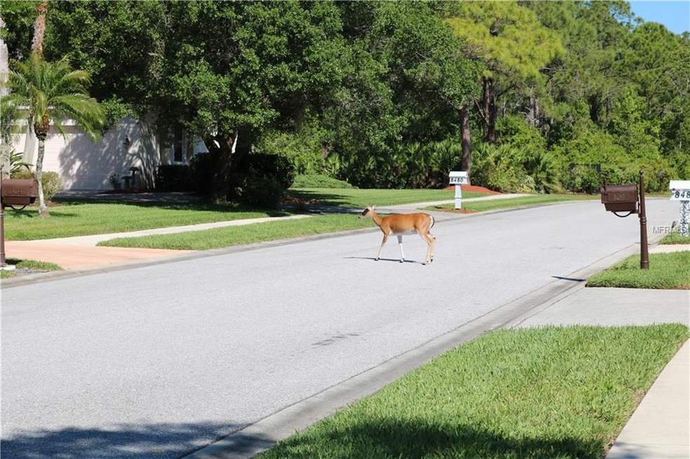 8488 Eagle Preserve Way, Sarasota, FL 34241 - photo 1