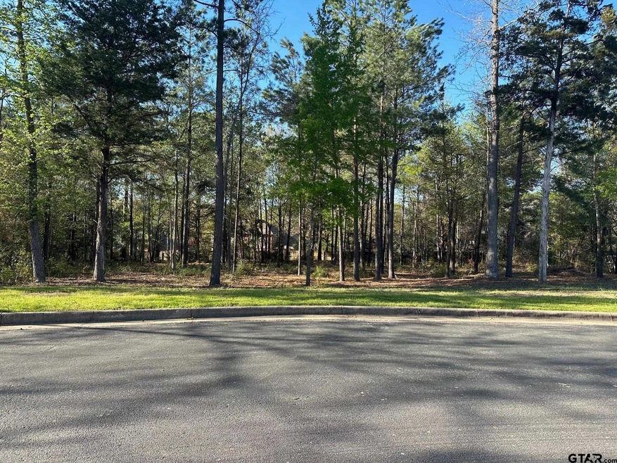 1408 Covewood Dr, Tyler, TX 75703 - photo 1