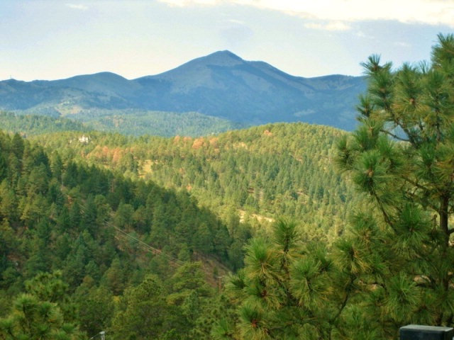 Primary Photo