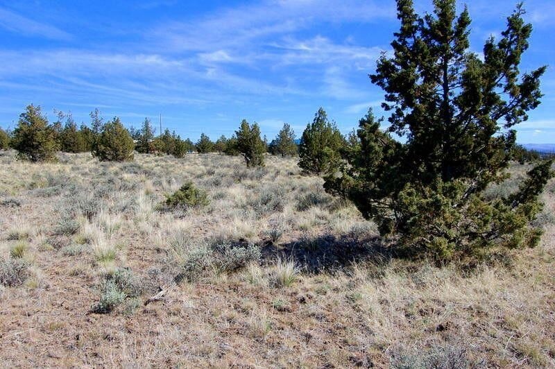 0 Tl 1501 Bluebird Dr unit 24787646, Prineville, OR 97754 - photo 1
