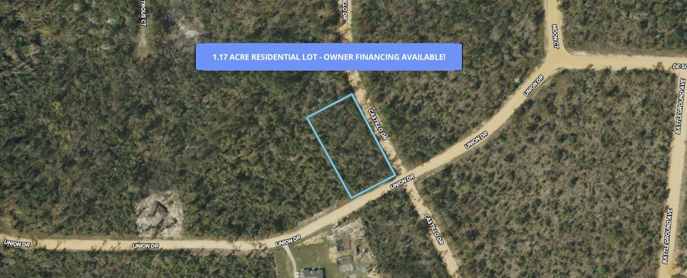 0 Union Dr, Alford, FL 32420 - photo 1