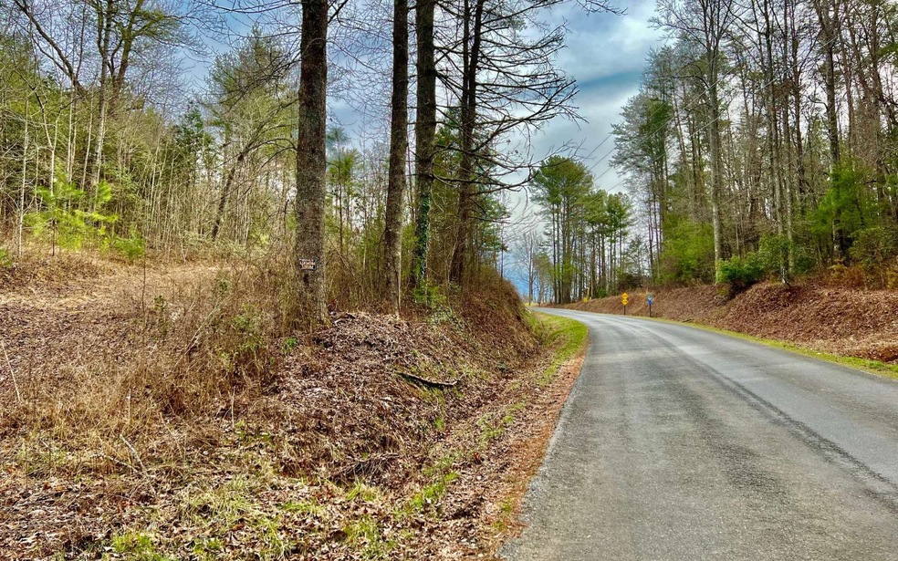 25.95 Pleasant Hill Rd, Ellijay, GA 30540 - photo 1