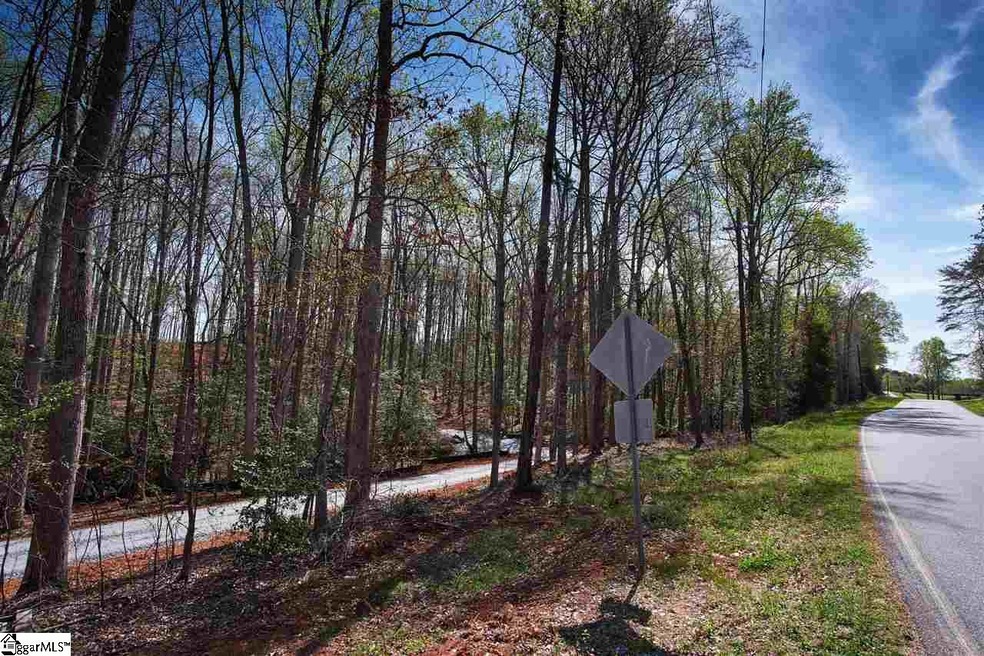 0 Foot Hills Rd unit Parcel A & B, Greenville, SC 29617 - photo 1