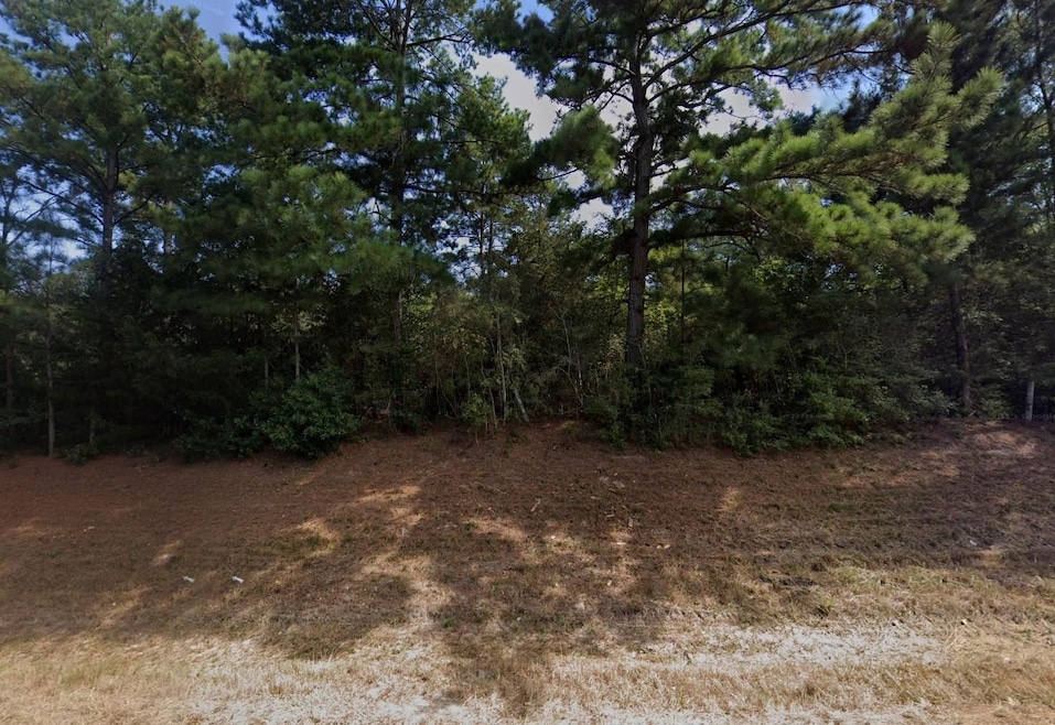 Mcgregor Ct, Hempstead, TX 77445 - photo 1