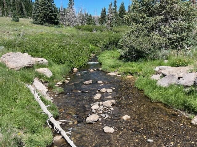 RM lot 9 stream in area 2