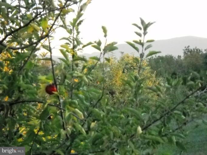 0 Buffalo Marsh Rd unit 1004780794, Middletown, VA 22645 - photo 1