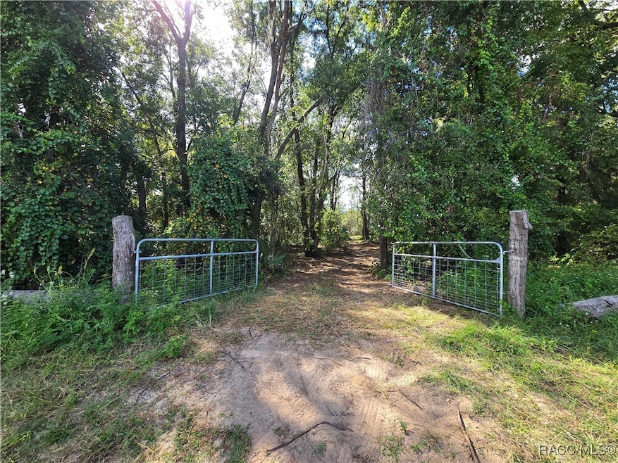 4286 N Carl G Rose Hwy, Hernando, FL 34442 - photo 1