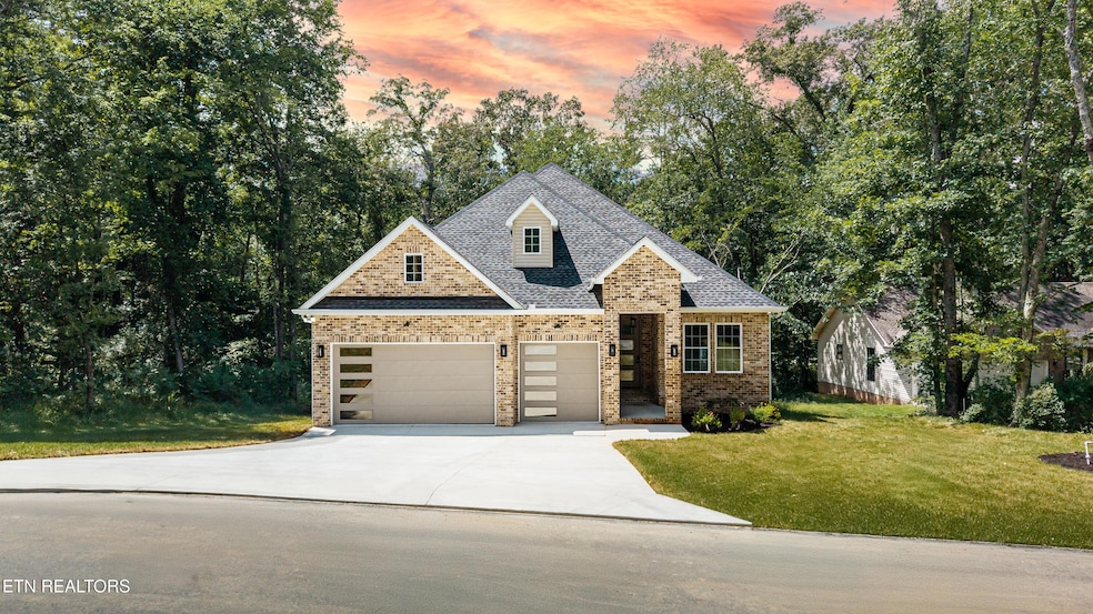 222 Oostanali Way, Loudon, TN 37774 - photo 1