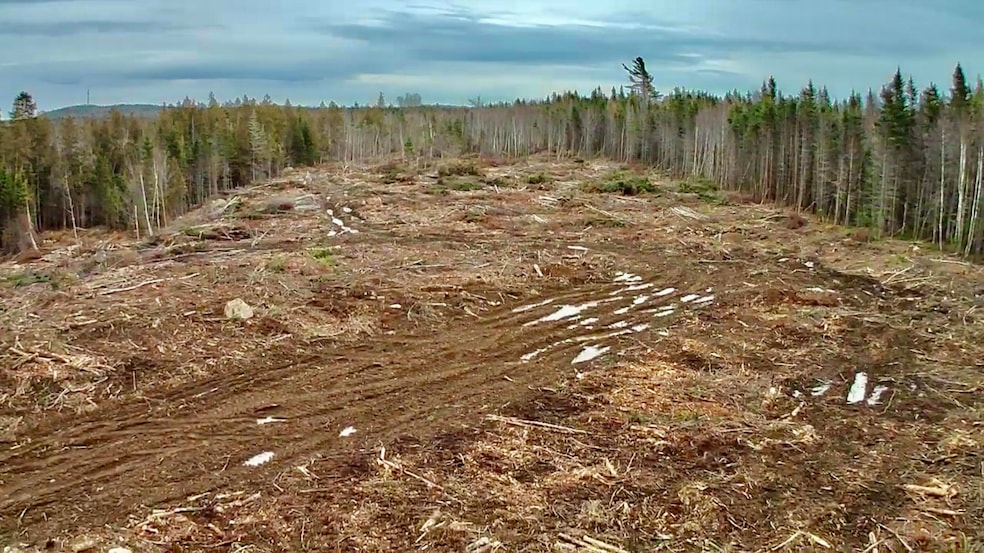 L1 Lively Brook Acres, Whiting, ME 04691 - photo 1