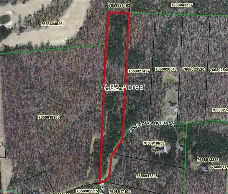 Lot 1 Pinewood Forest Dr, Asheboro, NC 27205 - photo 1