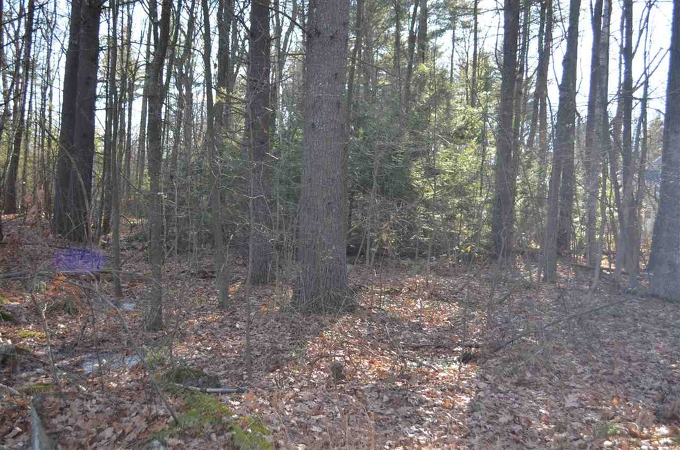 17 Bowtie, Hooksett, NH 03106 - photo 1