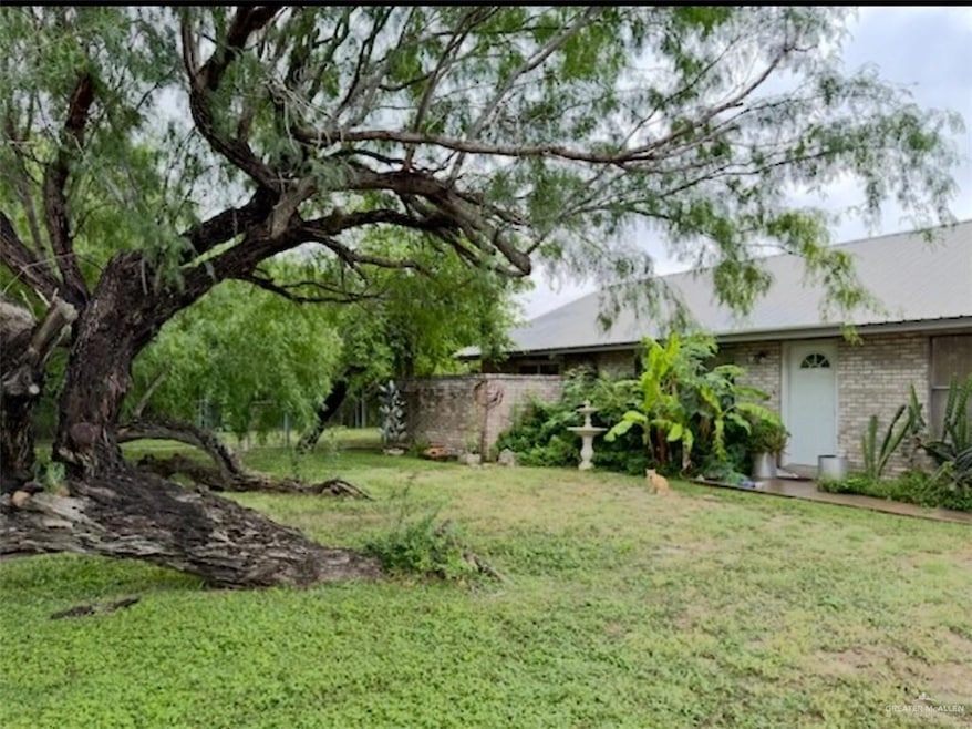 View of grassy yard