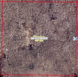 40 acres raw land, heavily treed!