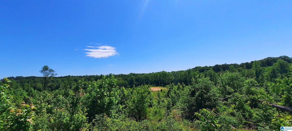 0 Laska Dr unit 20 acres 21420427, Wedowee, AL 36278 - photo 1