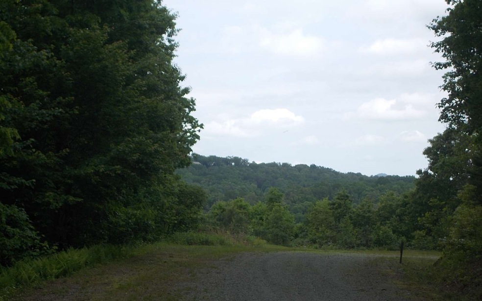 LT 39 Cascading Brook Ln, Blue Ridge, GA 30513 - photo 1