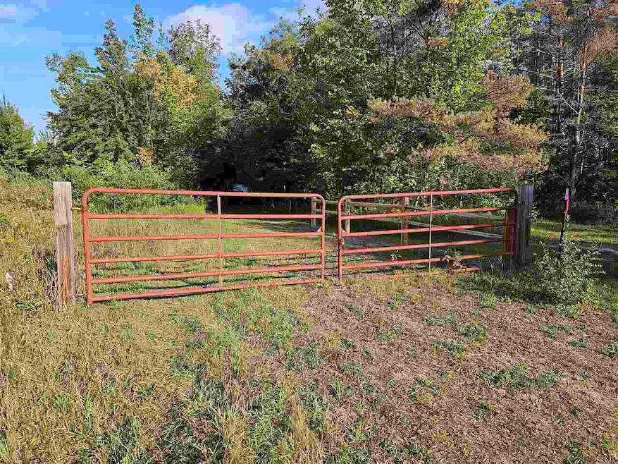 1715 Ellinger Rd, Alanson, MI 49706 - photo 1