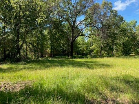 LOT 2 Landrum Rd, Lufkin, TX 75904 - photo 1