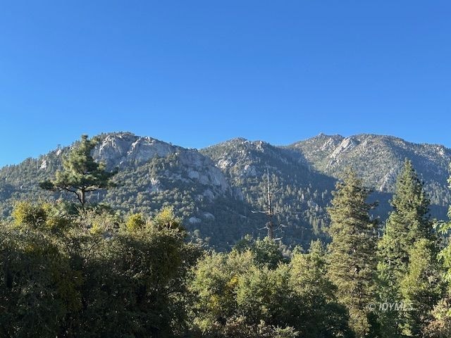 0 Howland Rd unit 2011137, Idyllwild, CA 92549 - photo 1