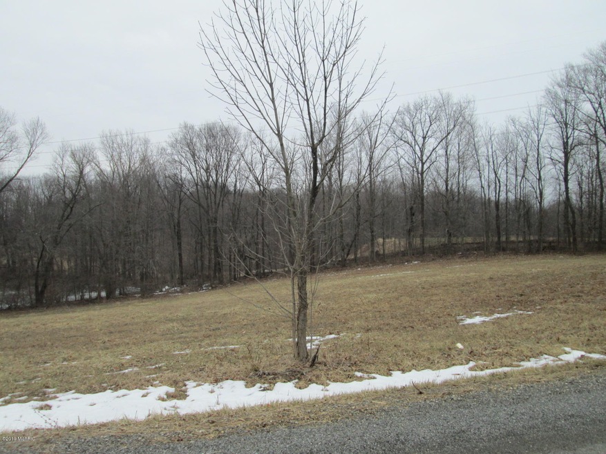 0000 W Wagner Rd, Glendora, MI 49107 - photo 1