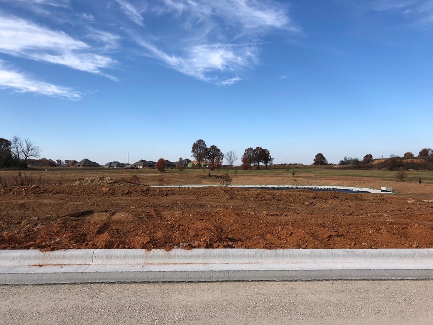 Lot 34 Village of Ashford, Nixa, MO 65714 - photo 1
