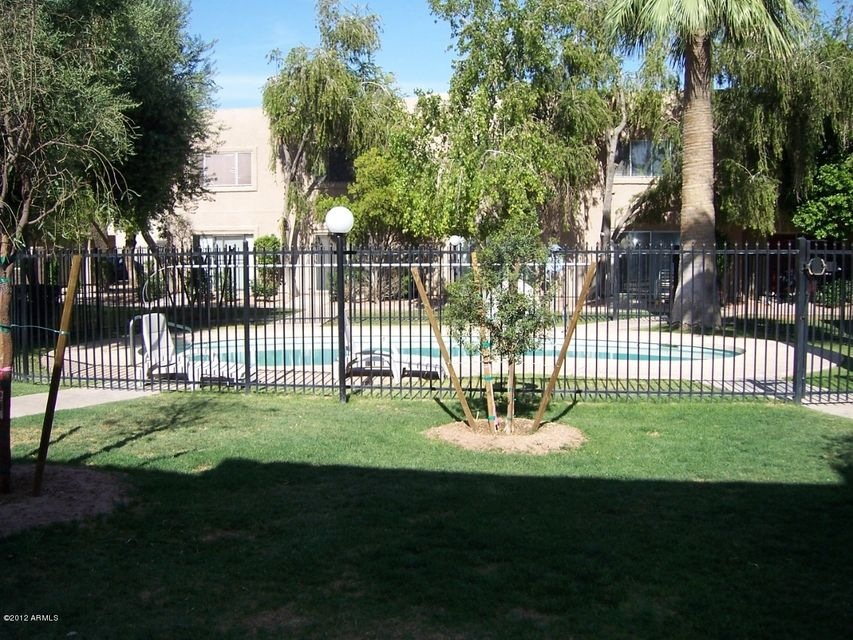 Community Pool 2009