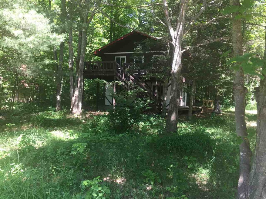 1090 Slashing Rd S, Boyne Falls, MI 49713 - photo 1