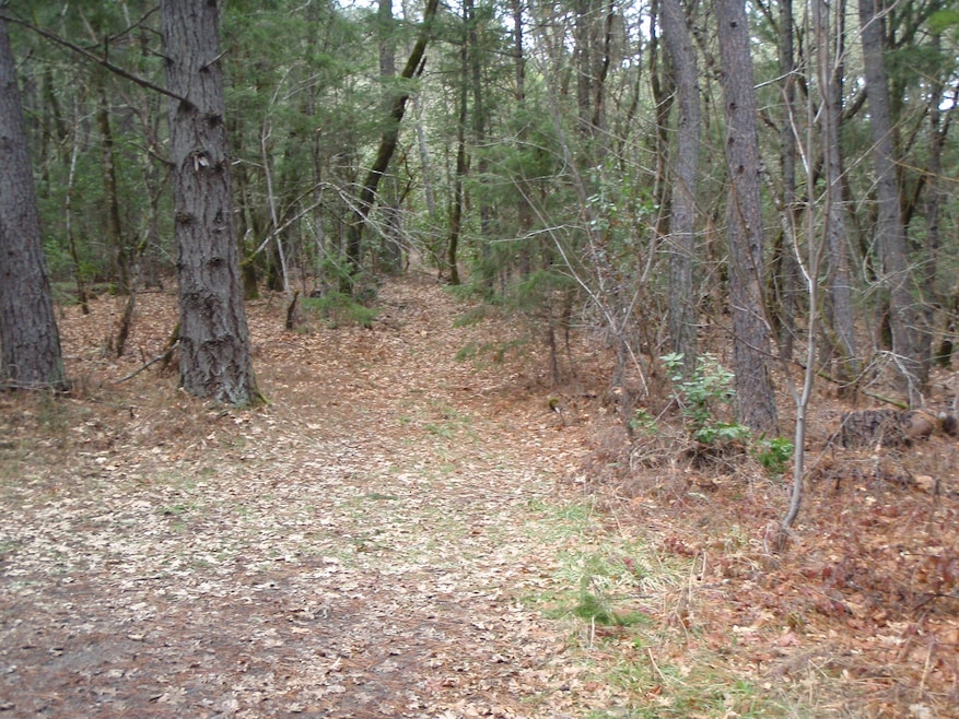 2008-01-01 00.00.00-4