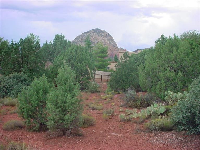 Primary Photo