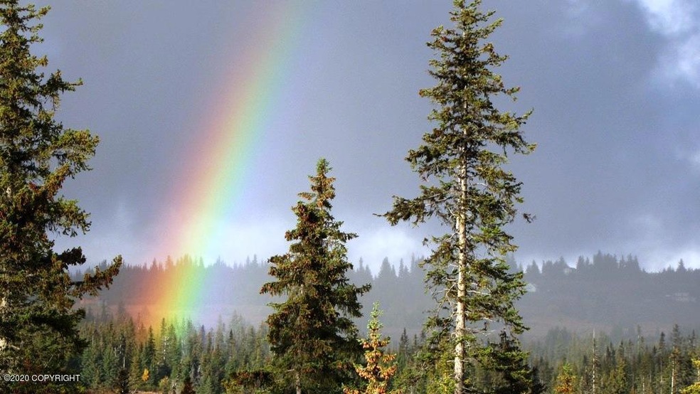 Rainbows