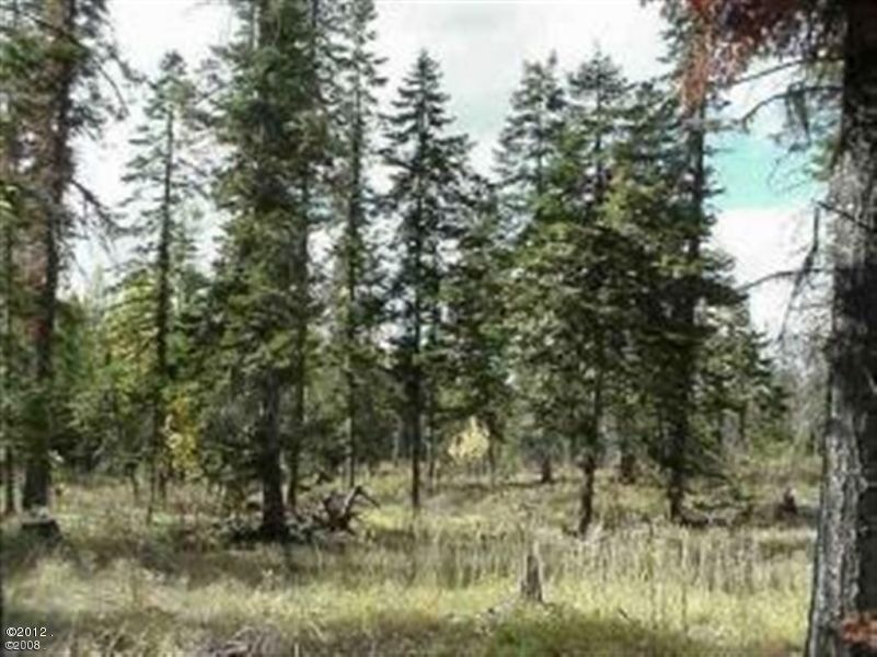 176 Crescent Moon, Bigfork, MT 59911 - photo 1