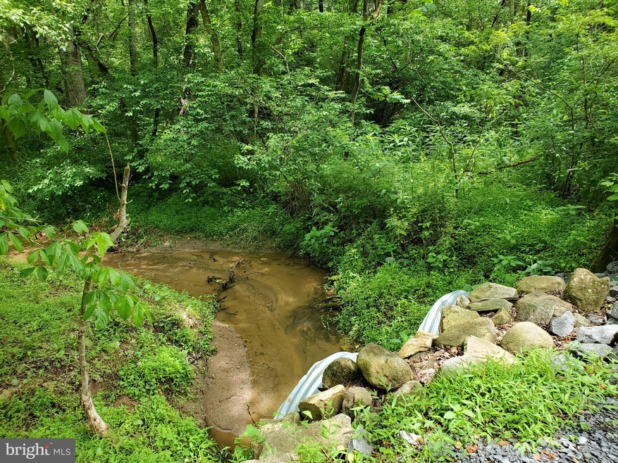 00 Ridgeview Ln, Washington, VA 22747 - photo 1